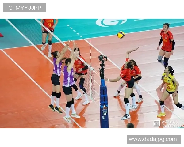 杨丽独家分享：从排球技巧到心态调整的全面心得体会